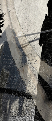 Flaneur III - Montgomery