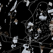 Introduced Birds - Songthrush