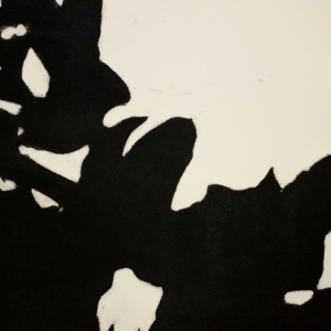 9. Undertow IX 2014 photopolymer etching 250 x 400