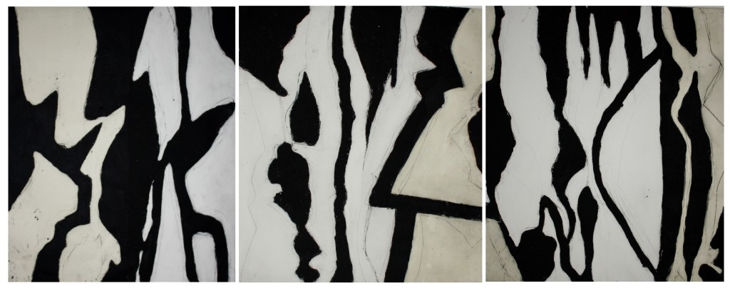 Shadowplay Triptych